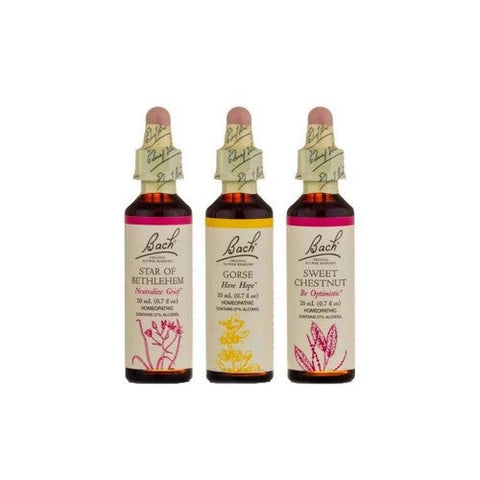 Bach, Hope And Joy Comfort Kit 3 Droppers, 1 Kit Bach
